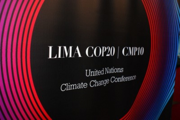 COP20 LLEGA A SU FIN EN LA BÚSQUEDA DE UN NUEVO ACUERDO CLIMÁTICO