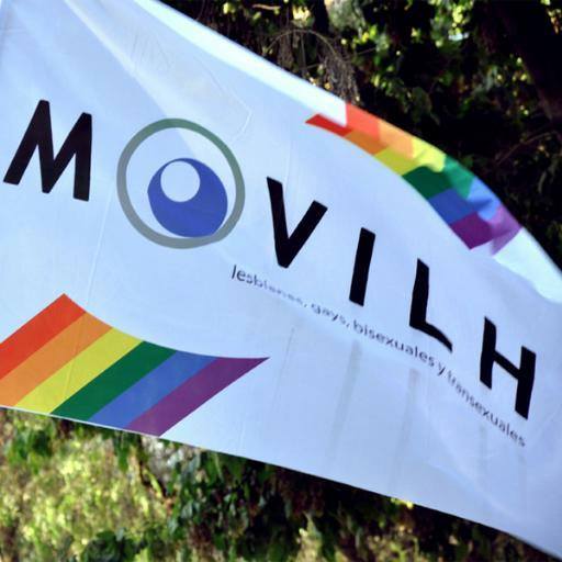 MOVILH FELICITA A JUVENTUD DE EVOPOLI POR DEMANDAR A SUS AUTORIDADES COHERENCIA CON LOS DERERECHOS LGBTI