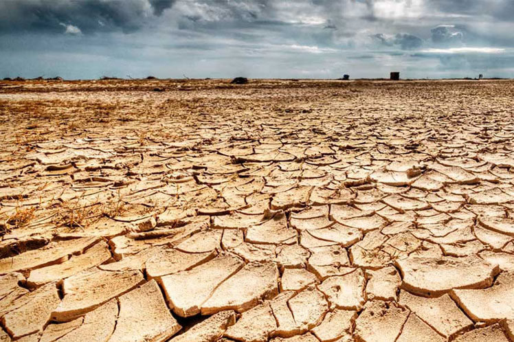 Intensa sequía afecta a la agricultura de Chile