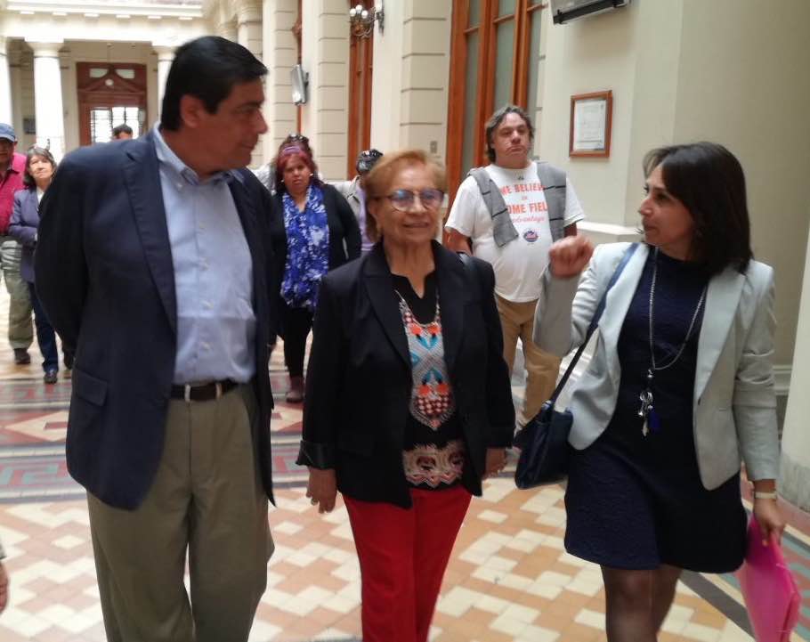 Guadalupe Cerda: una de las heroínas anónimas de Chile ha partido de este mundo