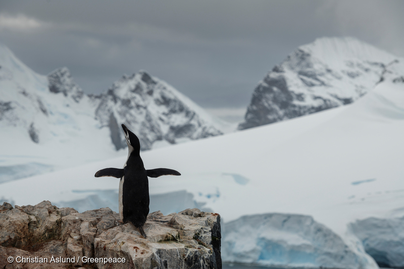 António Guterres verificará daños del cambio climático en Antártida
