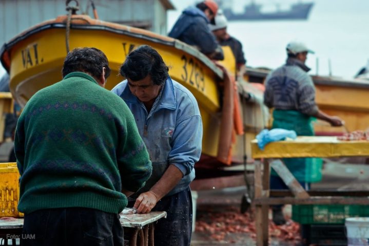 Diputado Sepúlveda (PR) fustiga exclusión de pescadores artesanales del Bono Alivio a las Pymes