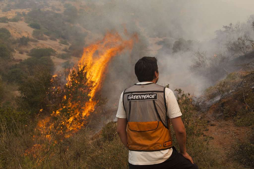 Fuego destruye una docena de viviendas en Chile