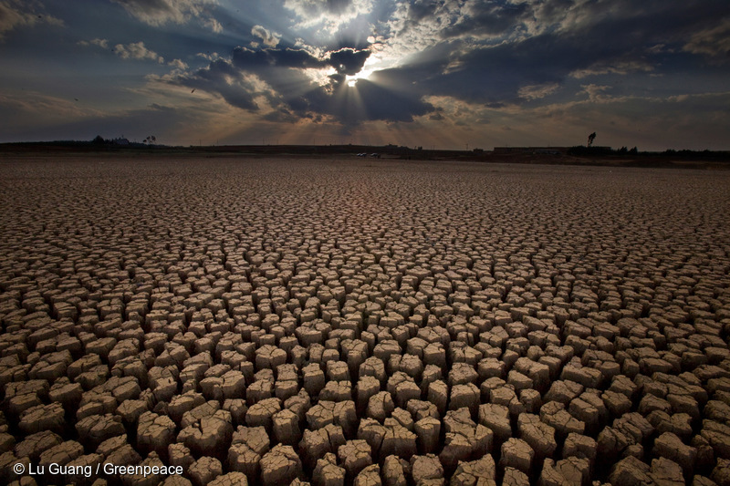 “Demuestra que el problema del agua en Chile no sólo es por la sequía y el cambio climático, sino que tiene que ver directamente con cómo se gestiona el agua”, Greenpeace