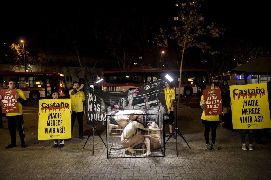 Manifestantes se encierran en jaulas en defensa de los animales