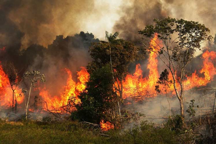 Experto chileno culpa a Bolsonaro de incendios en la Amazonía