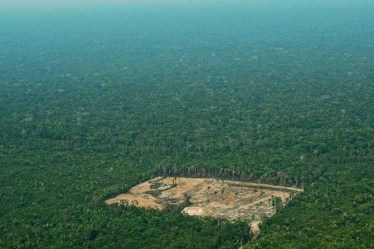 Grave: Bolsonaro resta importancia a pérdida de fondos por deforestación