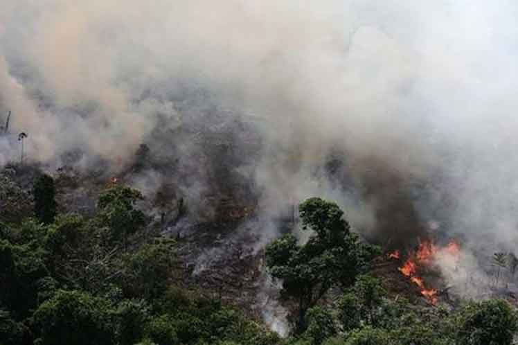 Amazonas en llamas:  Greenpeace convoca a la ciudadanía para exigir que el presidente Bolsonaro apague el fuego