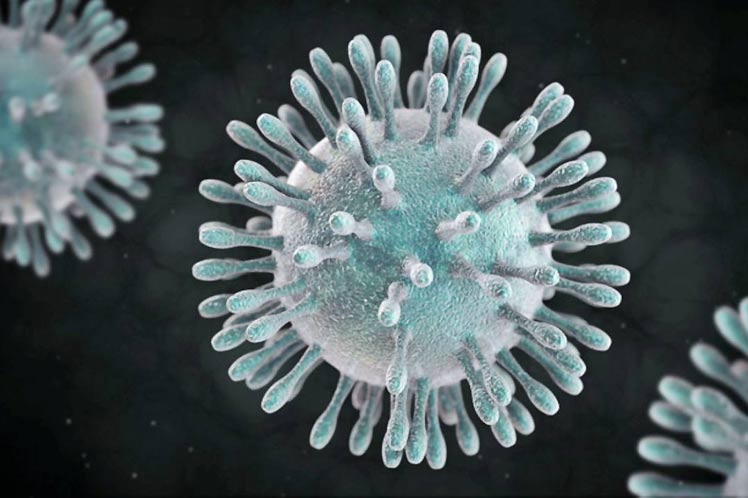 Salud: Autoridades piden calma por epidemia de coronavirus