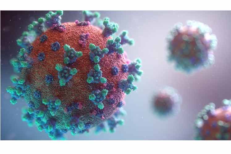 Estiman una década tiempo para inmunidad a coronavirus SARS-CoV-2