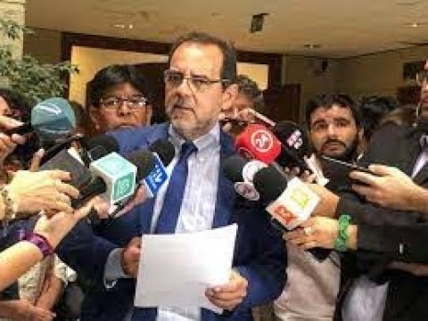 Diputado Jaime Mulet rechaza el plan de desconfinamiento «Paso a paso» de La Moneda