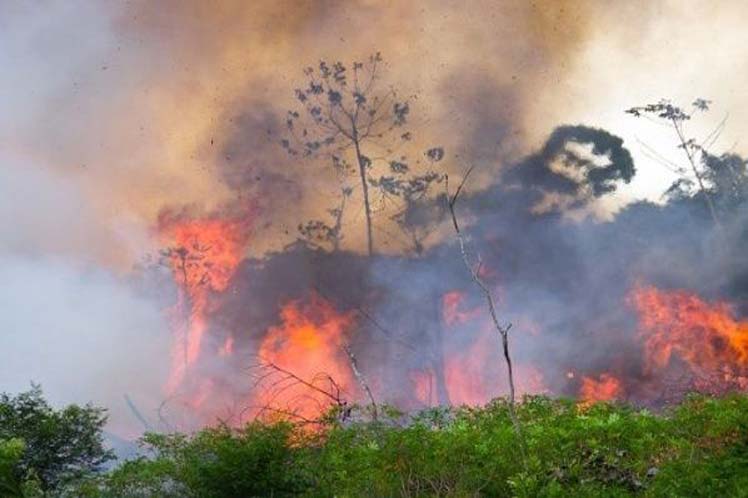 Navarro y aumento de incendios forestales: “Si eléctricas no podan árboles y causan siniestros mortales, responsables a la cárcel”