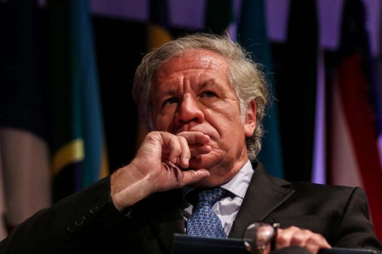 La derrota de la OEA por la victoria presidencial de la Izquierda en Bolivia