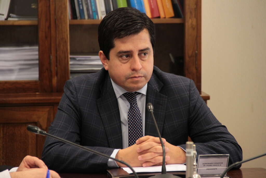 Delincuencia en Antofagasta: Senador Araya llamó a la Delegada Presidencial Regional a coordinar trabajo con policías y pedirá plan de expulsiones