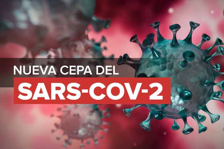 OMS anuncia reunión sobre nueva cepa de coronavirus SARS-CoV-2