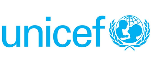Unicef: «Chile es el único país que no cuenta de una ley protección integral a la niñez y adolescencia» hetero o LGBTIQ+