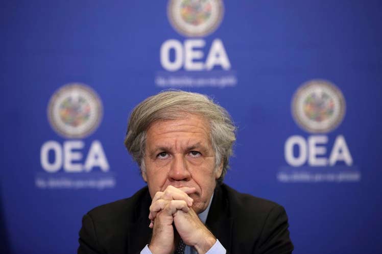 La OEA de Almagro sin Trump