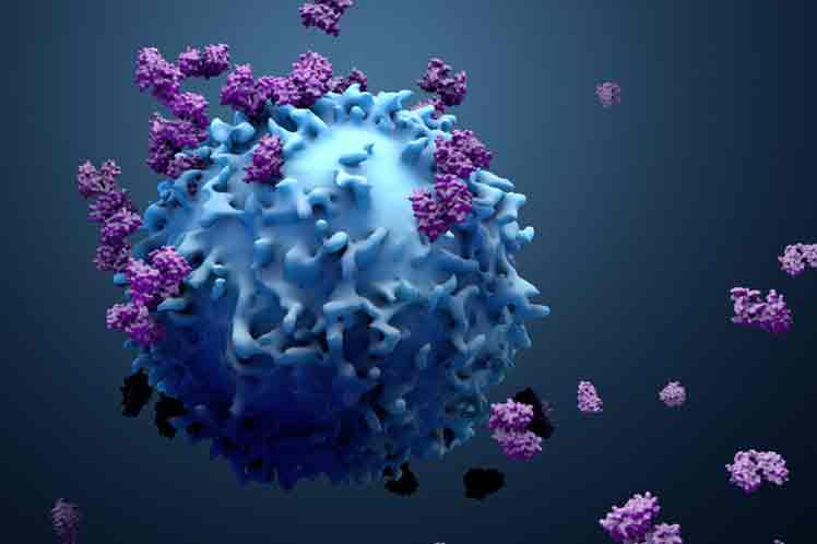 Cepa de coronavirus detectada en India resulta más contagiosa
