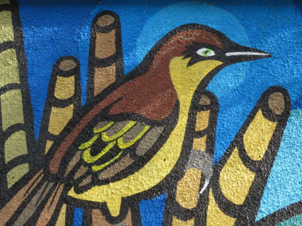 San Joaquín murales en defensa del ecosistema