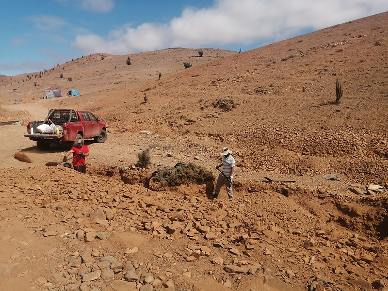 CONAF detecta actividad minera al interior de Parque Nacional Llanos de Challe
