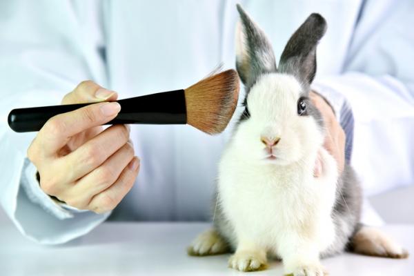 Comisión de Salud aprueba en general prohibición de experimentación de cosméticos en animales