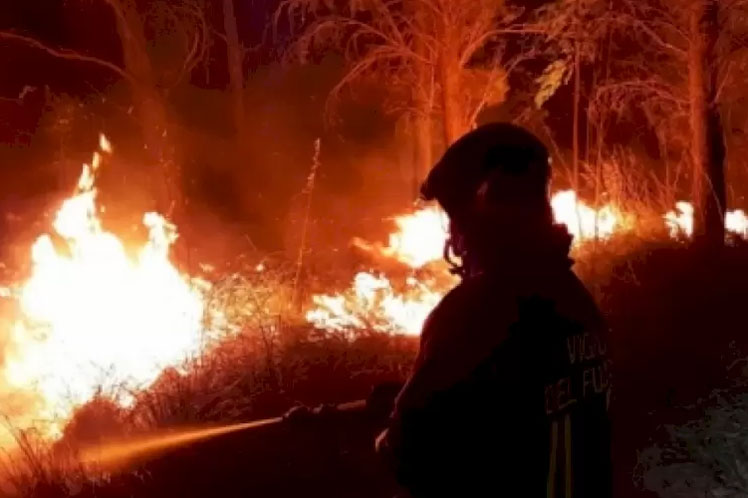 Chile finaliza el año con numerosos incendios forestales