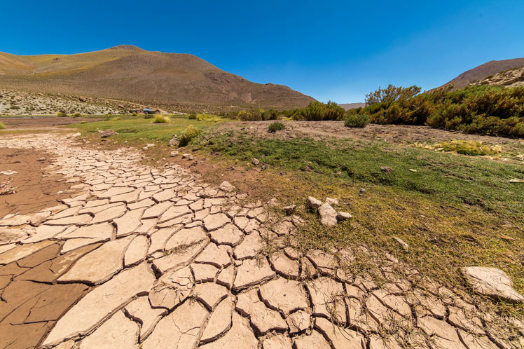 Mapas muestran cómo la sequía ha afectado la vegetación natural en los Parques Nacionales