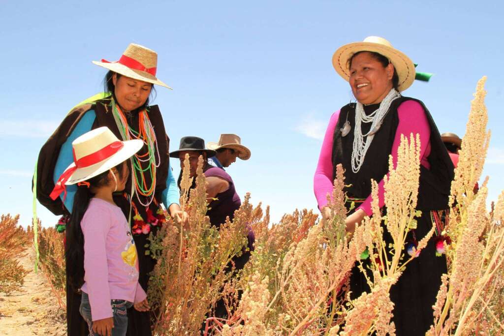 Constituyente por Tarapacá Alejandra Flores: “Es necesario actualizar la ley indígena”
