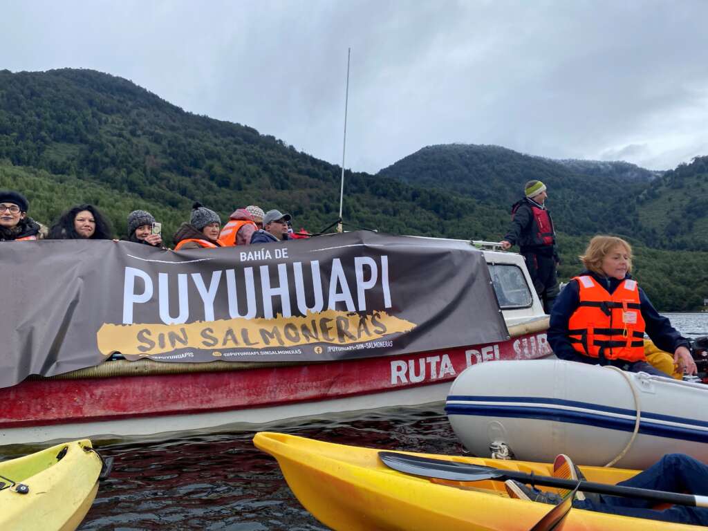 Greenpeace denuncia a salmonera en Puyuhuapi