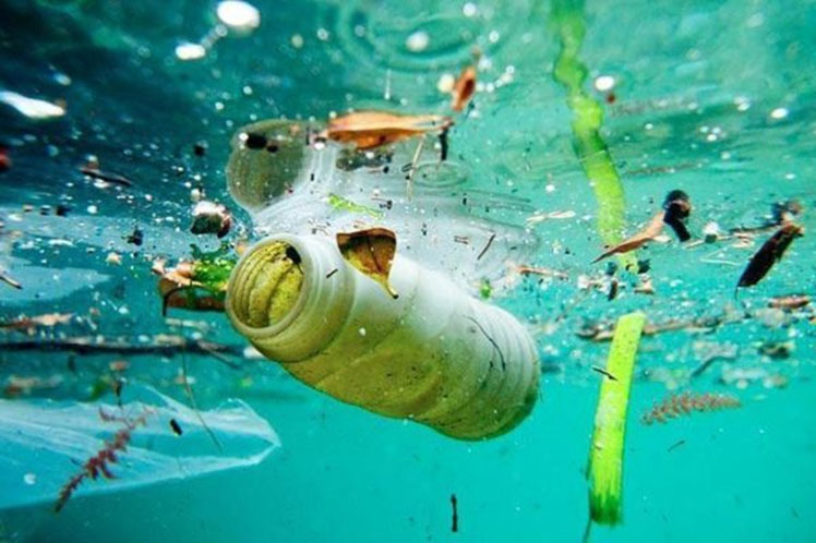 Científicos advierten que pandemia de la COVID-19 aumentó los residuos de plástico en los mares