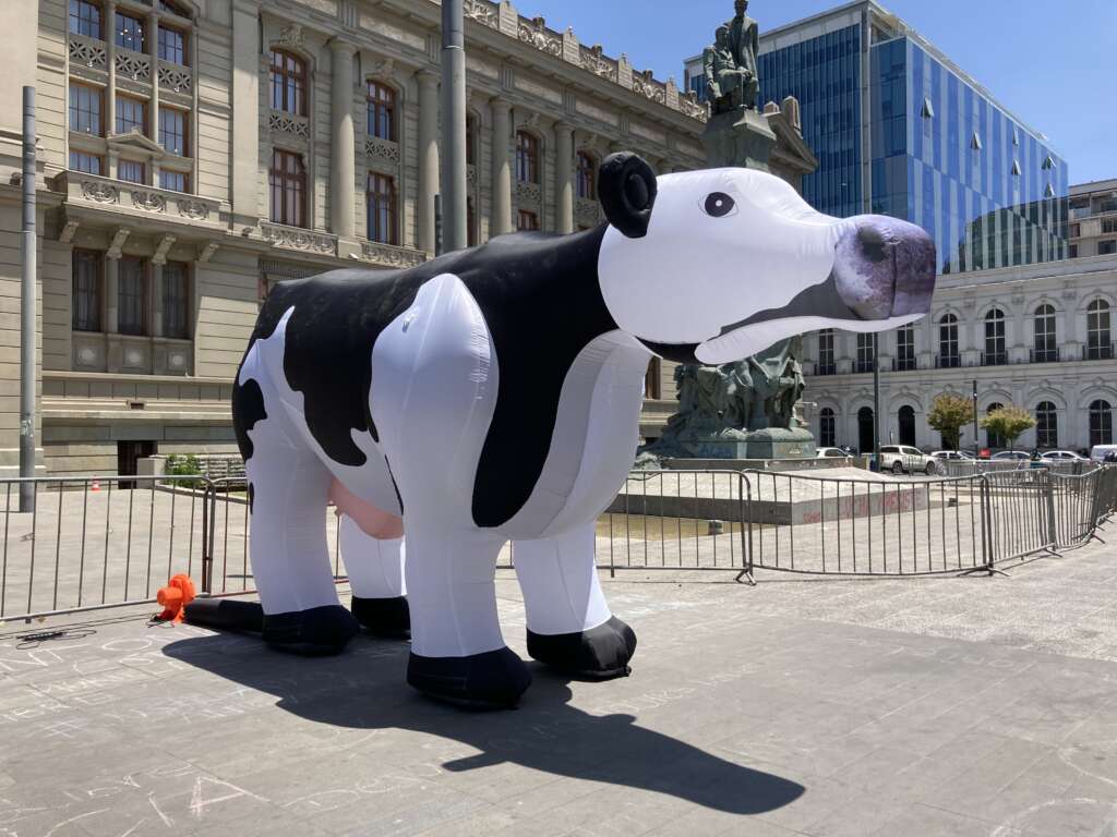 Vaca gigante se toma el frontis de la Convención Constituyente para conseguir respaldo a la campaña #NoSonMuebles