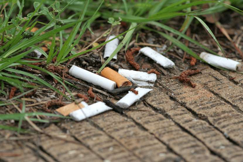 Cámara respaldó proyecto que prohíbe arrojar colillas de cigarros en la vía pública