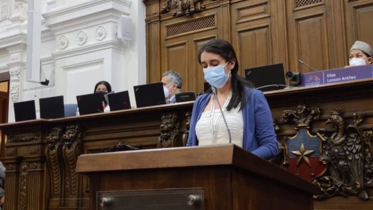 María Elisa Quinteros presidirá Convención Constitucional