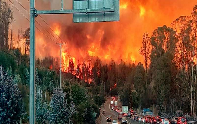 Alerta roja por incendio forestal en región de Valparaíso
