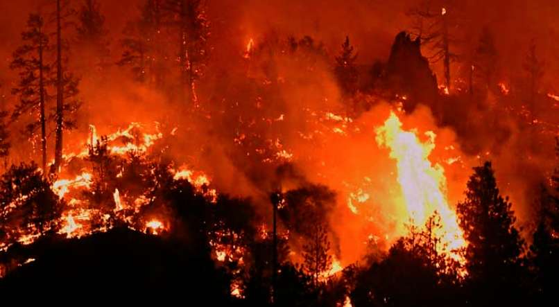 Vaparaíso: Incendio forestal quema 310 hectáreas y puede extenderse