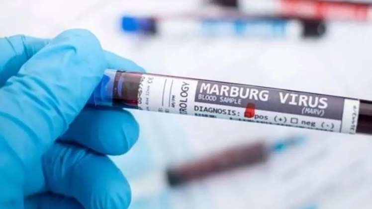 ¿Cuáles son los efectos del virus de Marburgo detectado en Ghana?