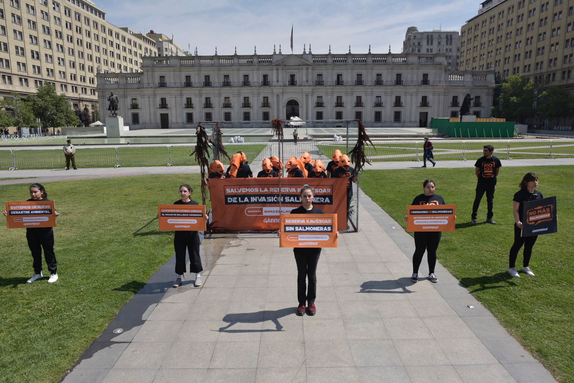 Mientras se desarrolla la COP 27: Con intervención en La Moneda Greenpeace pide al gobierno frenar el avance salmonero en la Patagonia chilena