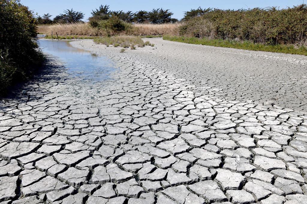 Escasez hídrica en Chile: Desafíos de un futuro con menos agua