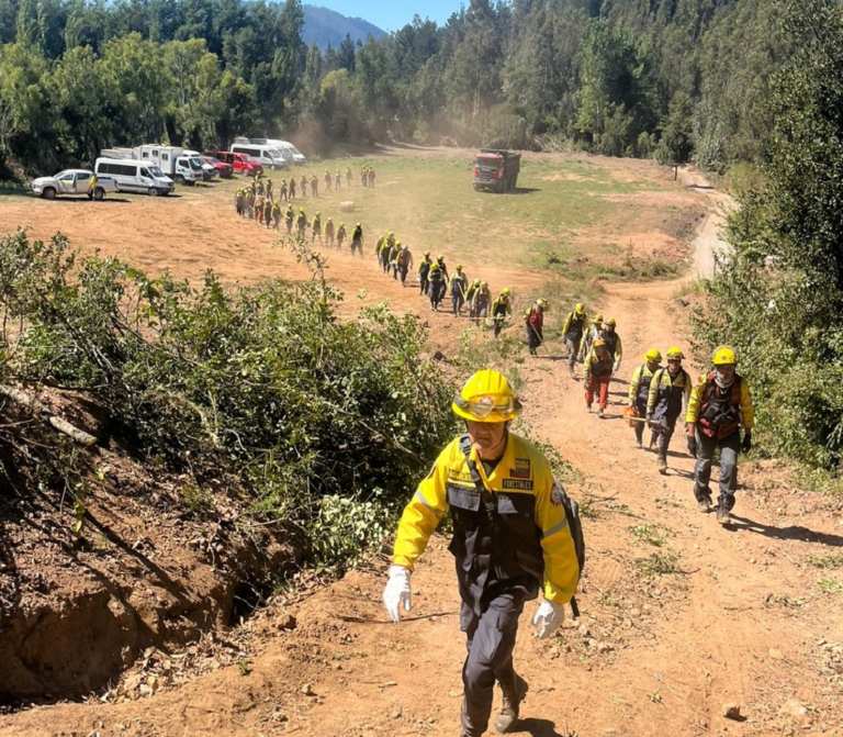 Expertos de Venezuela aplacan incendios en sector Patagual de Chile