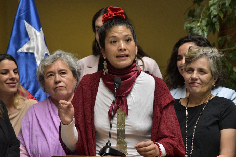 Diputada mapuche llama a cambiar modelo de industria forestal chilena