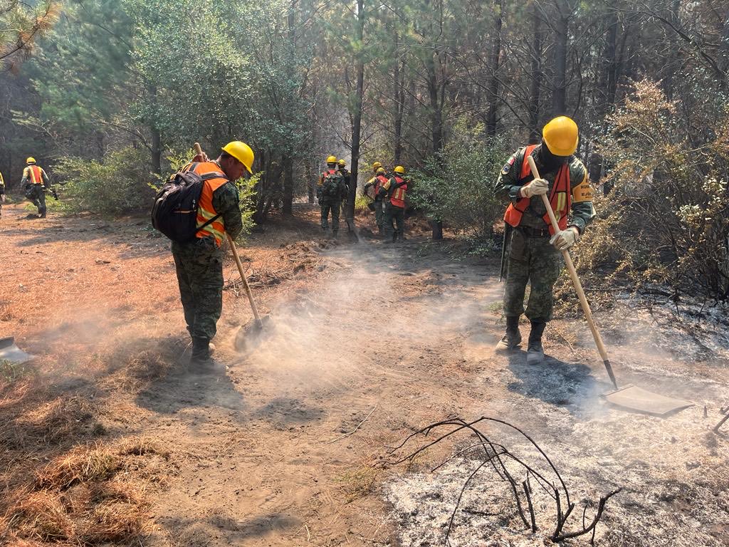 Más de 700 brigadistas internacionales combaten incendios en Chile