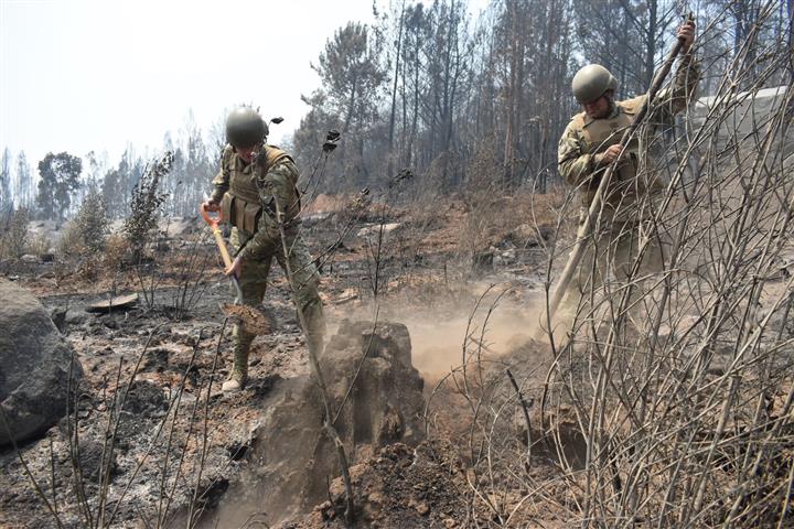 Reportan mayor control de incendios forestales en Chile
