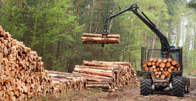 FRVS insiste en ley de rentas regionales y en royalty a la industria forestal