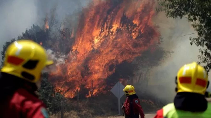 Incendios en Chile apuntan a la industria forestal