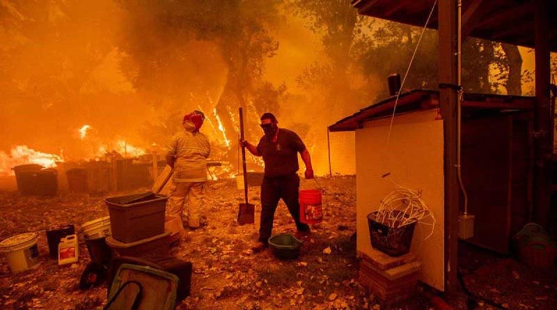 Incendios causan muerte y destrucción en el centro sur de Chile