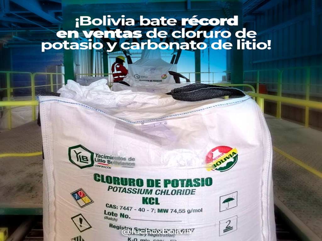 Presidente de Bolivia reafirma industrialización de litio