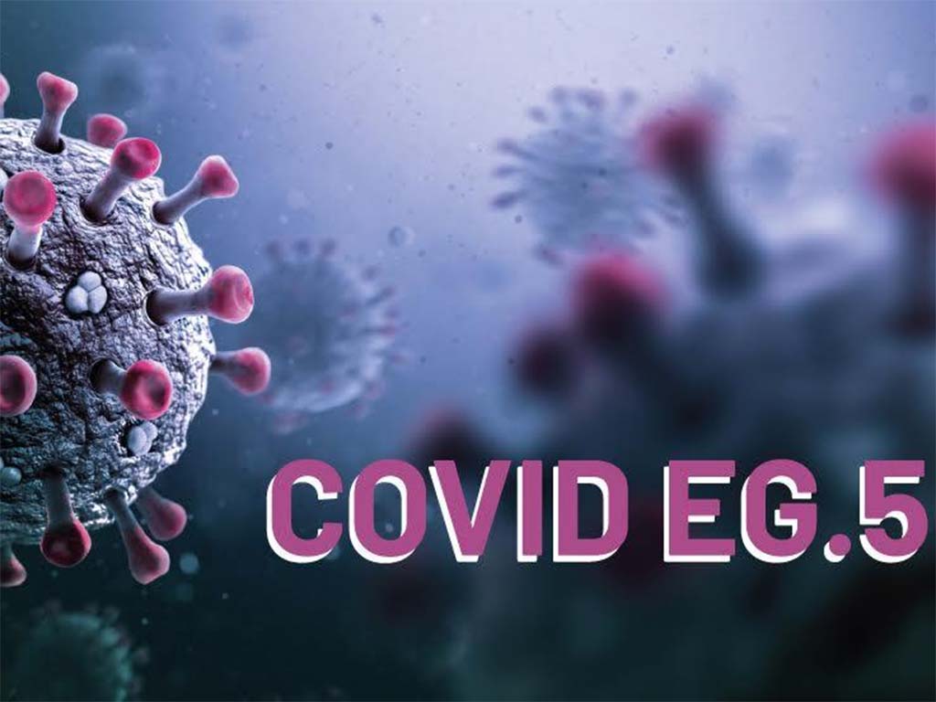 Vigila Francia evolución de variante EG.5 del coronavirus SARS-CoV-2