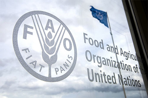 FAO lanza plan para asistir a comunidades vulnerables de Latinoamérica por fenómeno de El Niño