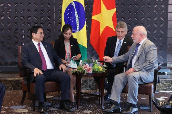 Camino de desarrollo y futuro prometedor de relaciones bilaterales entre Vietnam – Brasil