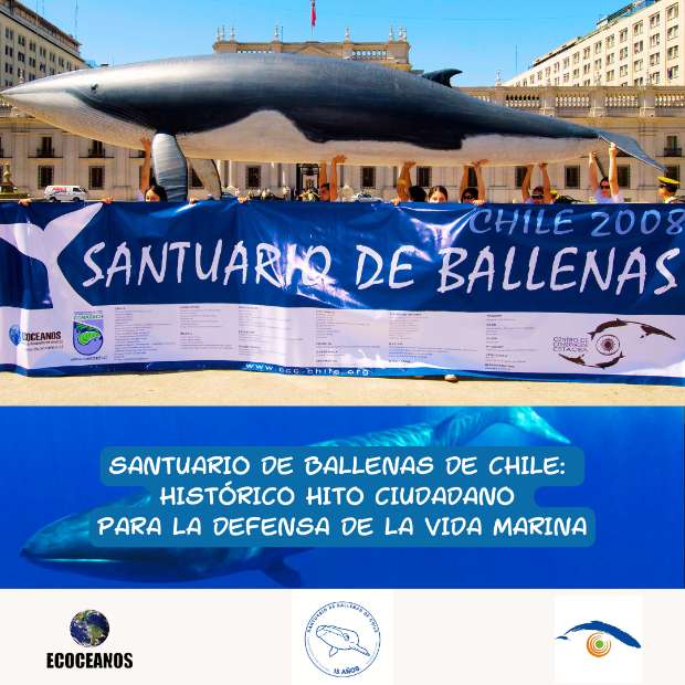 Santuario de Ballenas de Chile, Un Logro Ciudadano
